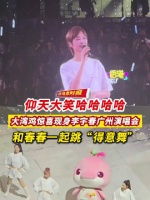大湾鸡来看李宇春演唱会了