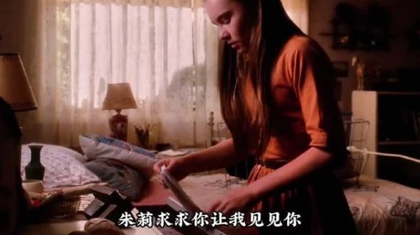 男子为爱种梧桐树告白