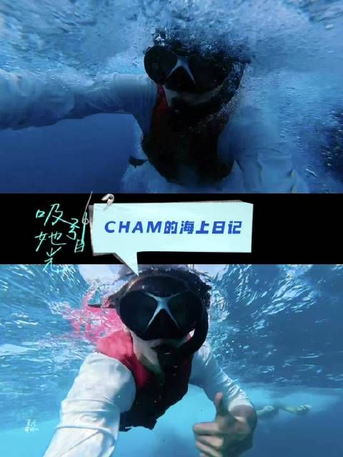 陈哲远海边vlog真挚互动获赞