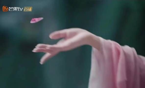 “用花瓣下棋也太装杯了 ”