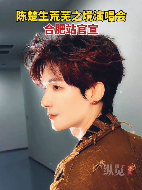 陈楚生演唱会合肥站官宣