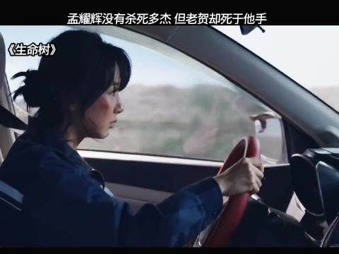 生命树：这一段太紧张了，孟耀辉交代一切，杨紫这演技也是无敌了