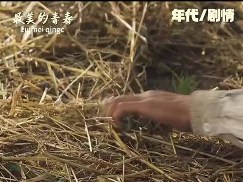 男人三年的努力竟让你女大学生一句话给整崩溃了