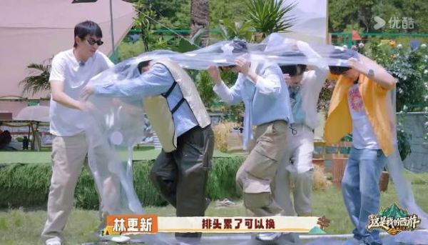 小西西在哪个综艺现在都是猫塑认证