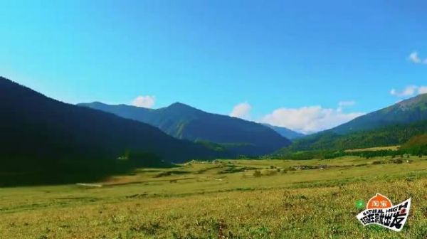 东北男人都这么会做饭？黄景瑜包饺子专业熟练王安宇惊呆