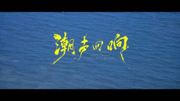 辛芷蕾谈演员与角色共振，未来以作品说话