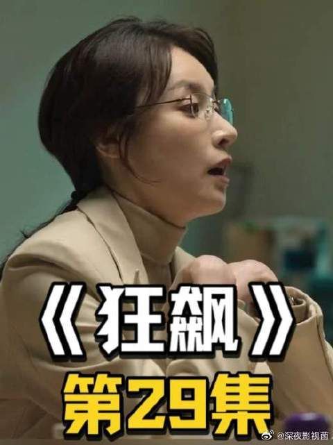 饺子宴劝走高启兰，安欣撕破强盛保护伞