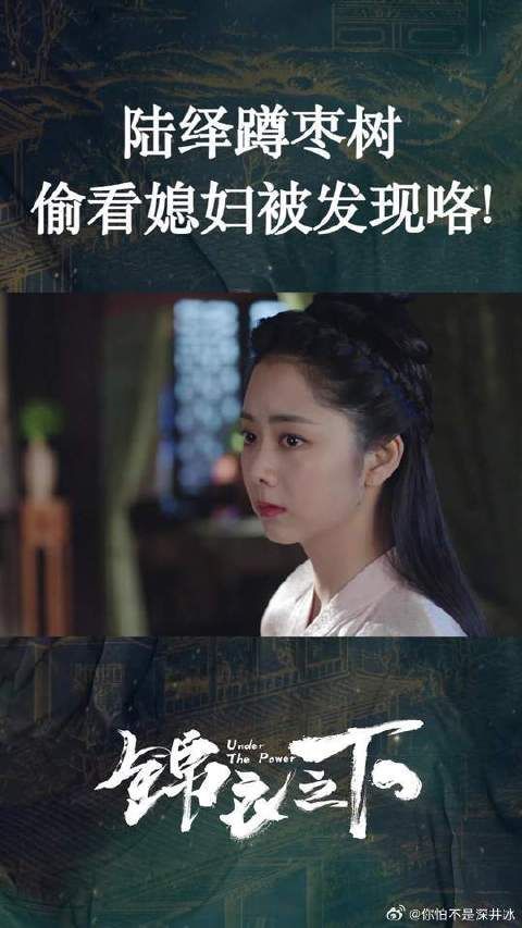 陆大人日常蹲媳妇