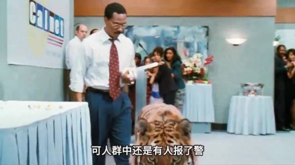 医生为老虎手术遇动物组团堵门