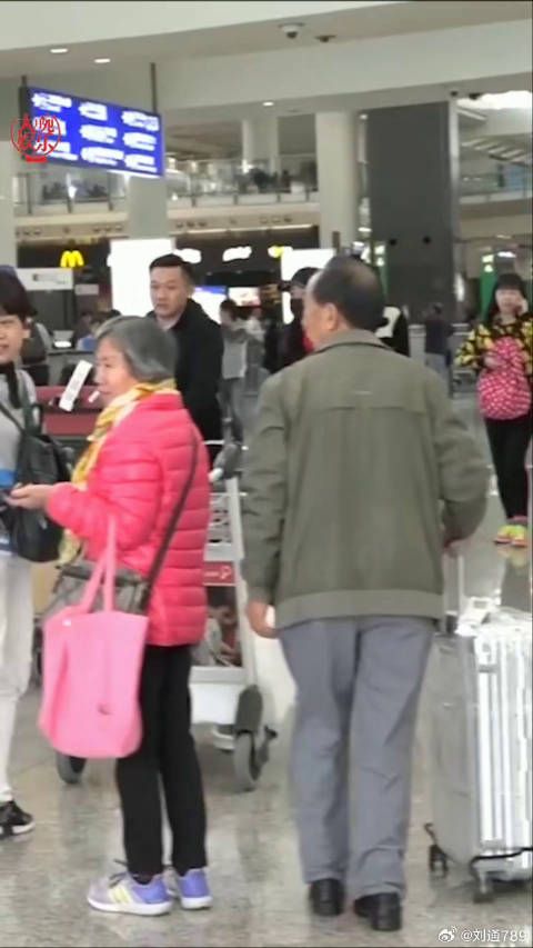 张柏芝低调捐款20万助力抗疫