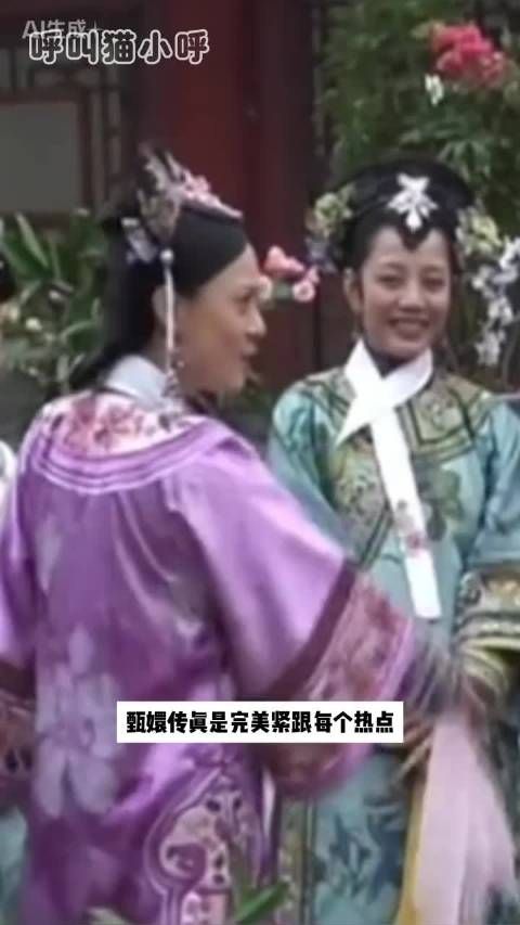 没有甄嬛传,接不上来的梗