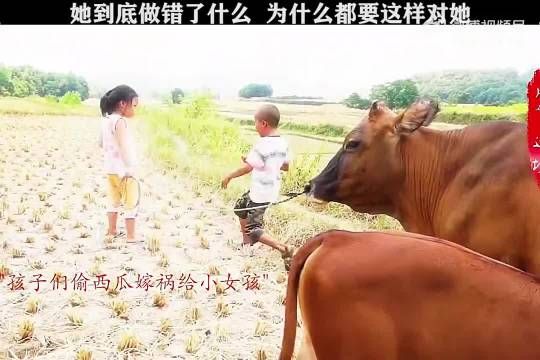 她到底做错了什么，为什么要这样对她