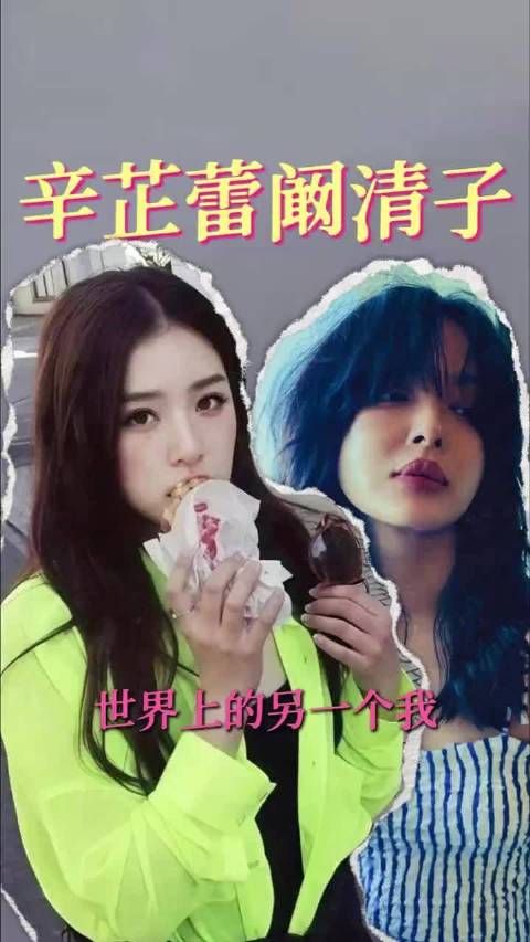 辛芷蕾阚清子微博画风相似引网友好奇