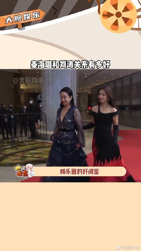 娱乐圈的好闺蜜我只服秦海璐 真挚的友情让人羡慕！微博VC计划微博VC计划