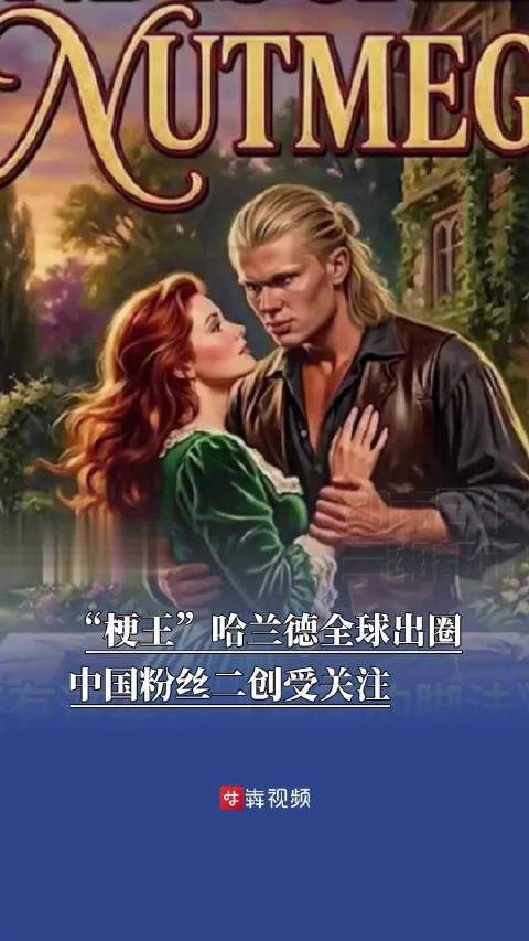哈兰德遭中国粉丝二创受关注