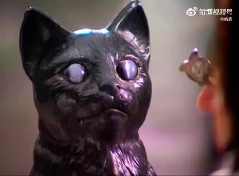 这胖子没感觉到猫的重量吗？