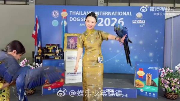 哈哈哈哈 原来是误会，但是他们一家子确实是很爱小动物
