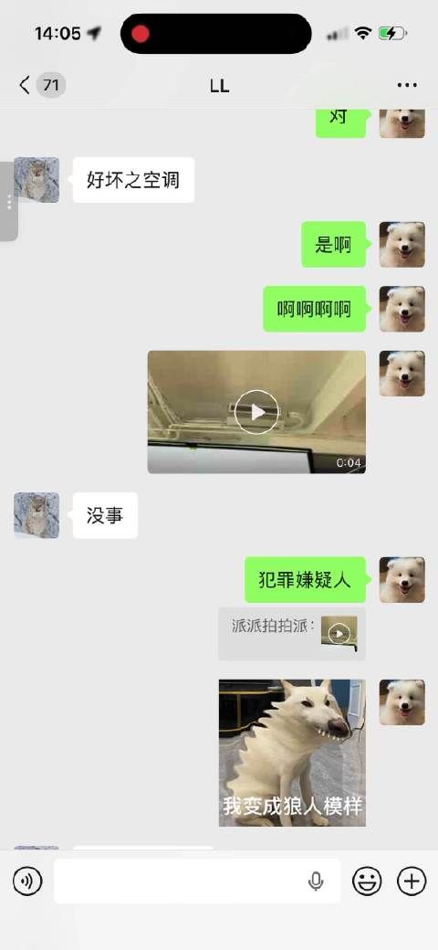 有点好笑，分享