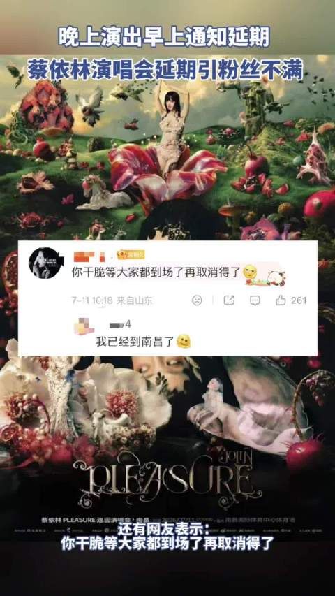 蔡依林演唱会延期引粉丝不满