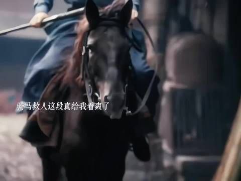 谁懂展昭骑马救人这段真给我看爽了！