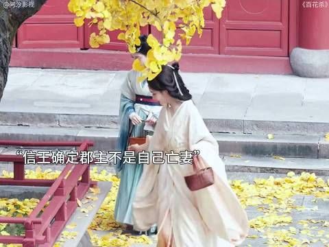 信王凭落叶疑郡主非亡妻
