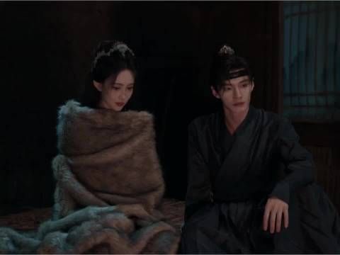 萧长雍救沈汐和后求婚，两人达成合作约定