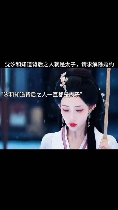 沈汐和知道背后之人就是太子，请求解除婚约