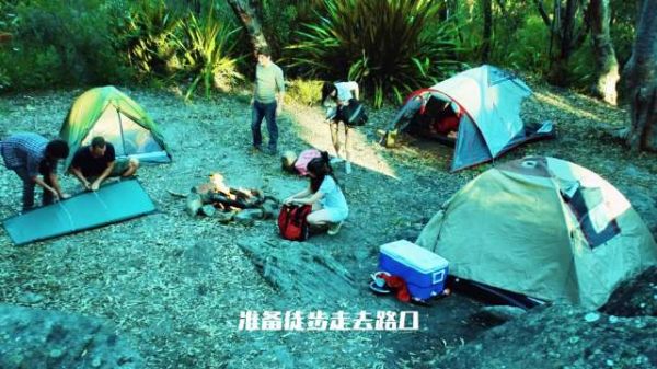 女子夜泳后行为异常生啃变异野兔