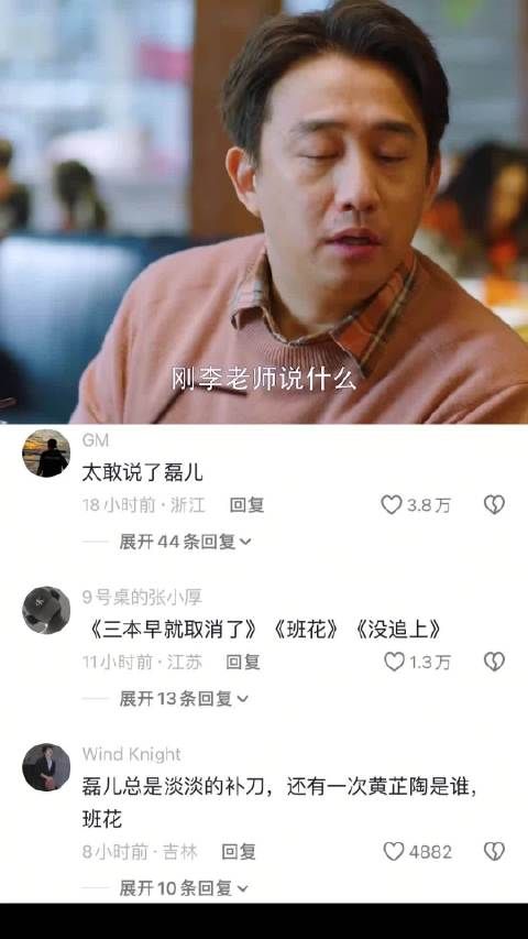 这部剧演员的演技都好自然 小欢喜|海清|黄磊