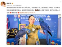 “霍思燕家的鸟又夺冠了”登上热搜！霍思燕：那个鹦鹉不是我的