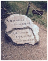 林徽因和徐志摩——止于唇齿，掩于岁月