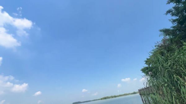 鹿晗十年老粉脱粉,司晓迪称小鲜肉玩够