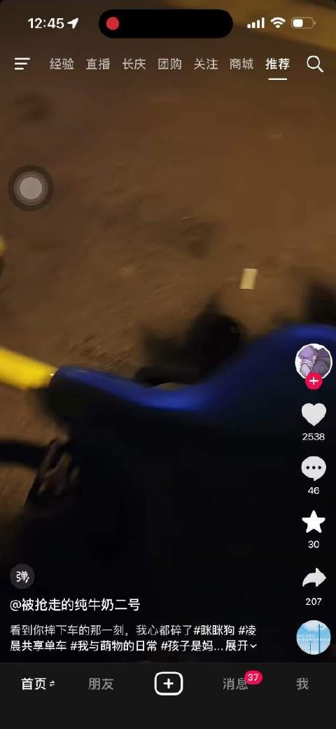 我真的笑得不行了，世界上最有梗的宝丝