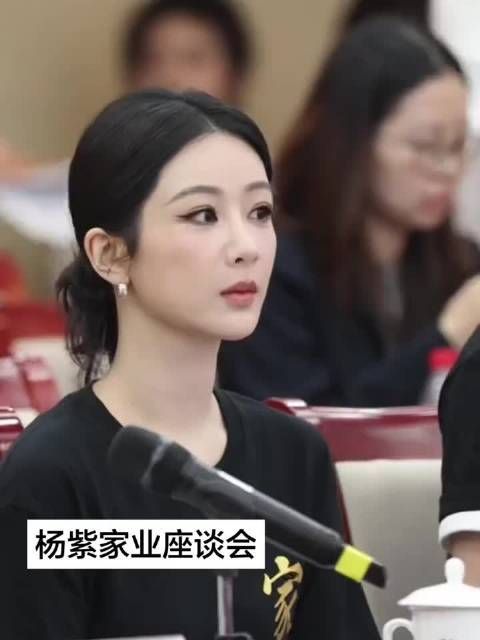 阿紫这个低盘发也太美了