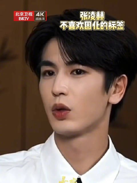 张凌赫不喜欢固化标签