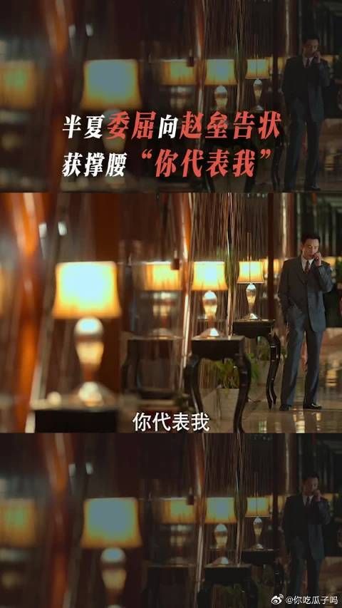 远在异国他乡的许半夏向赵垒求助，一句“你代表我”，像是得到了尚方宝剑！