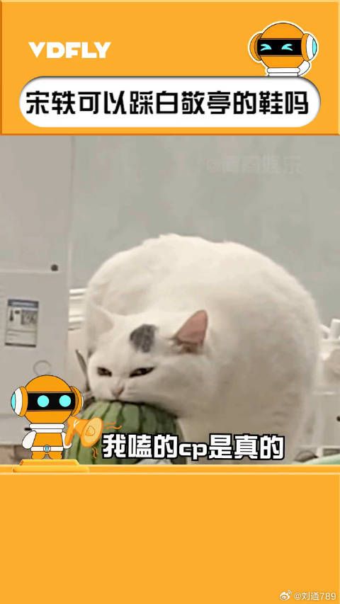 宋轶 我就想知道一件事，宋轶可以踩白敬亭的鞋吗！