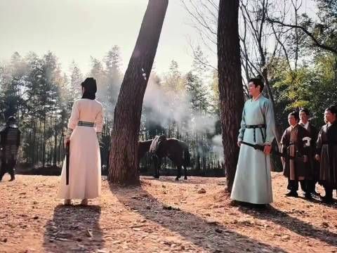 杨洋凭《雨霖铃》反超张凌赫，首尔电视剧大赏暂列第一