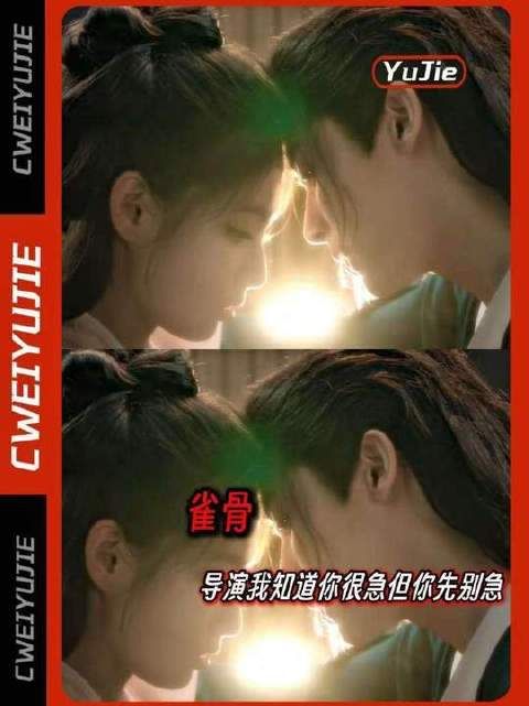导演，我懂你心急如焚，可请先稳住节奏！