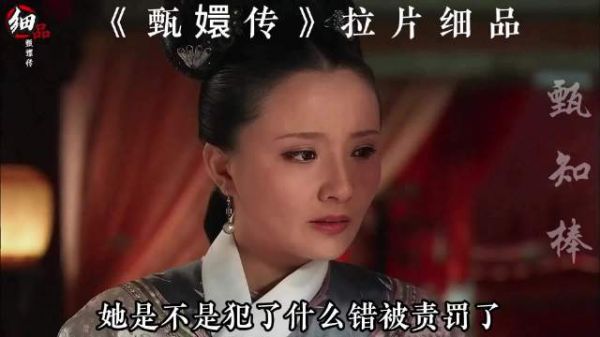 甄嬛拒信淳儿死讯,论文蓝屏比喻精准扎心