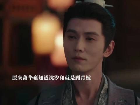 萧华雍知沈汐和即顾青栀，皇帝欲传位萧长卿却因恋爱脑落空