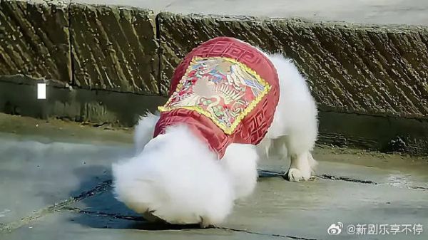 太子妃生气的样子,也太可爱了吧