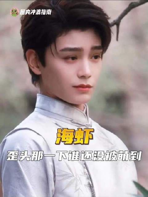 将海虾与小猫奇妙联结的创意者，堪称绝世奇才