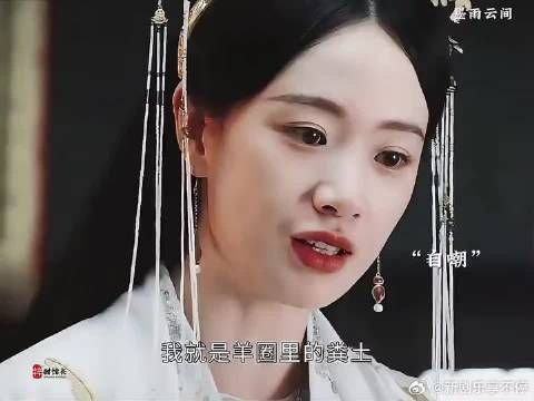 墨雨云间婉宁公主弑父，因当人质致疯批一生被利用
