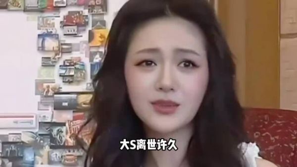 小s否认不管大s孩子，称法律上无法成监护人