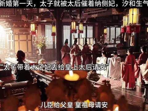 新婚第一天,太子就被太后催着纳侧妃,汐和生气