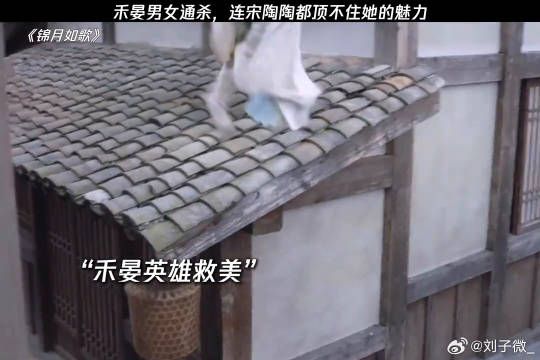 禾晏男女通杀,宋陶陶也顶不住她的魅力 周也