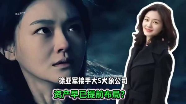 许雅钧接手犬象?关大S什么事? 许雅钧 具俊晔被曝与大S子女争遗产