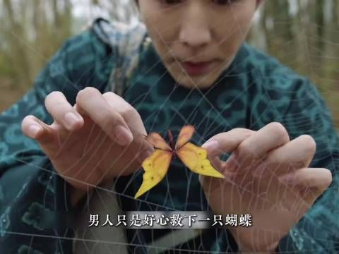 男人只是好心救下一只蝴蝶,没想到却被蜘蛛咬了一口!