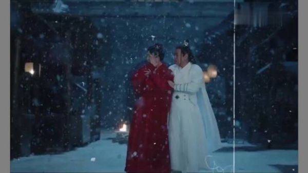 不要因为我是娇花而怜惜我 苑琼丹